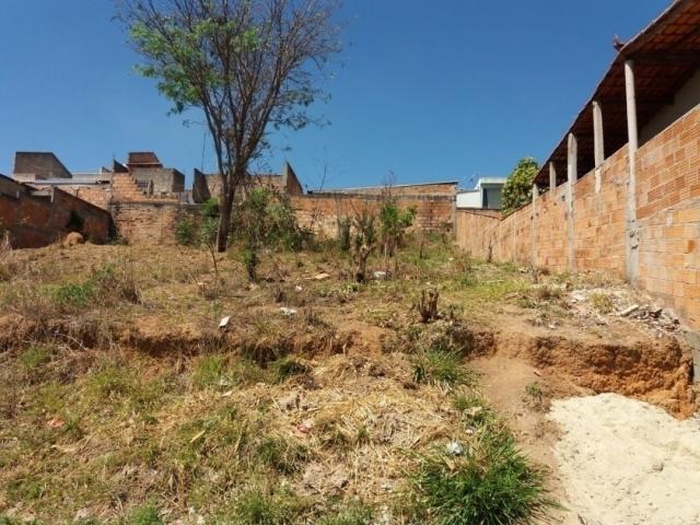 #219 - Lote / Terreno para Venda em Ribeirão das Neves - MG - 1