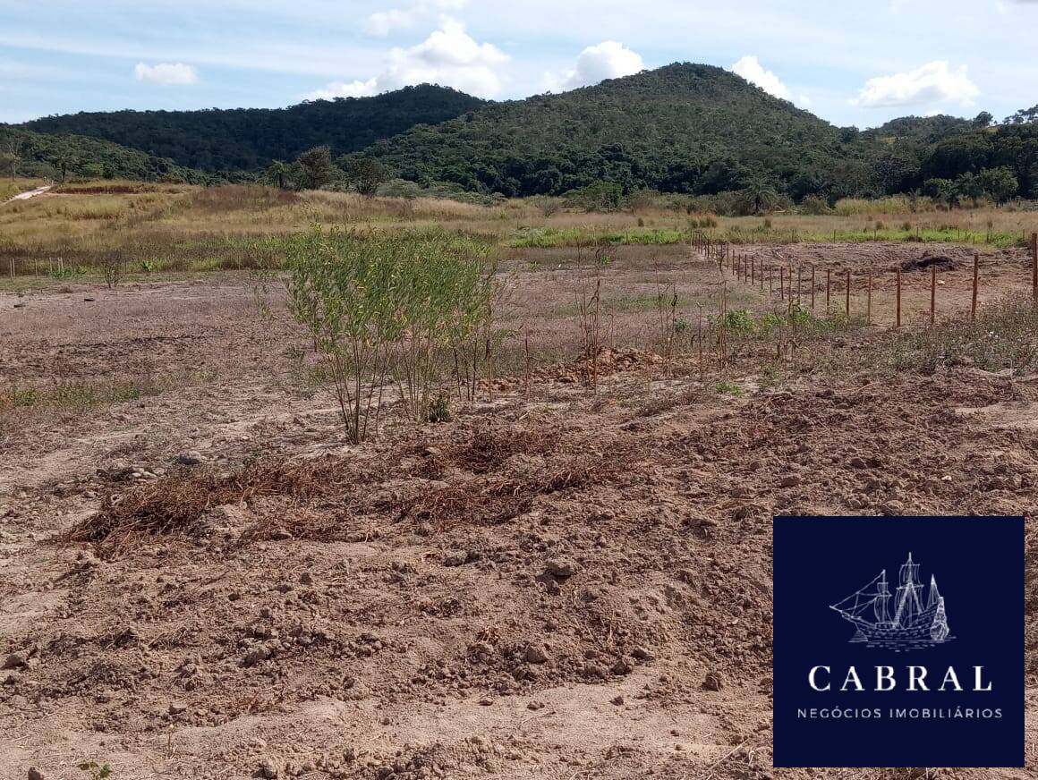 Terreno à venda, 21000m² - Foto 3