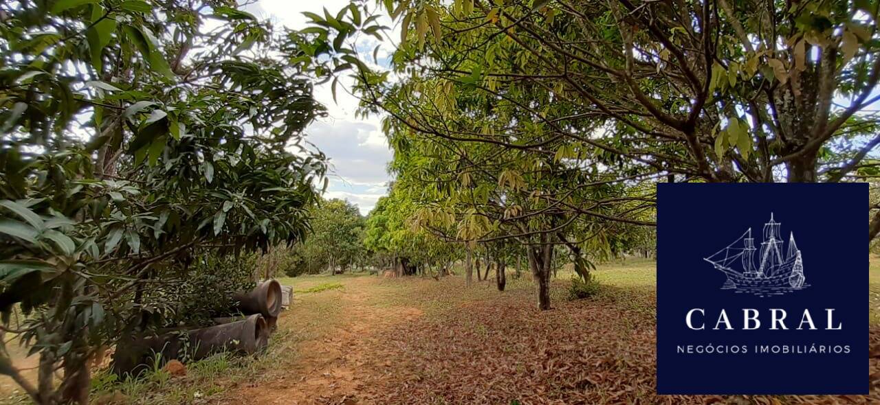 Fazenda à venda com 3 quartos, 20000m² - Foto 4