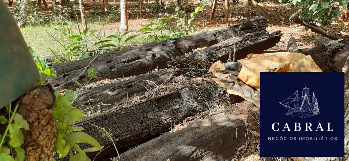 Fazenda à venda com 3 quartos, 20000m² - Foto 5